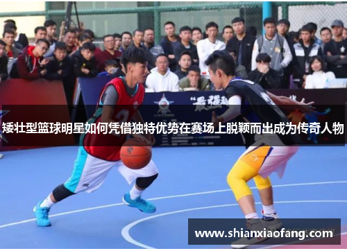 矮壮型篮球明星如何凭借独特优势在赛场上脱颖而出成为传奇人物